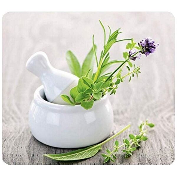 Wenko Szklana płyta ochronna HERB GARDEN na kuchenkę – duża, WENKO