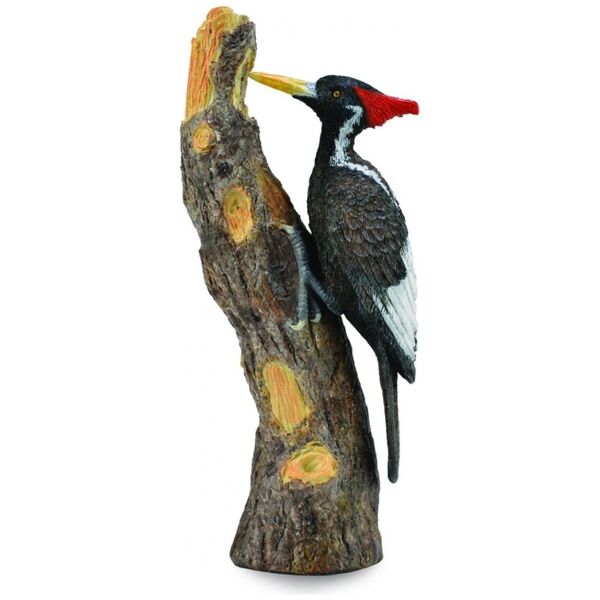 Figurka Collecta Dzięcioł Wielkodzioby w rozmiarze L (004-88802)