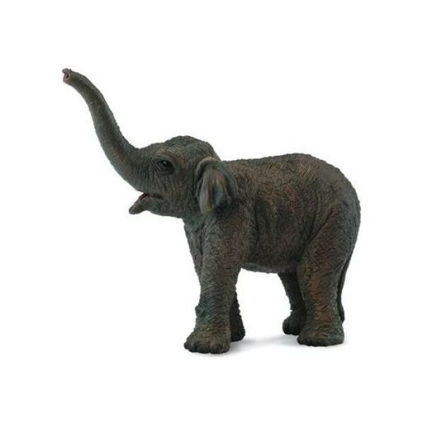 Figurka Collecta Słoniątko azjatyckie (004-88487)