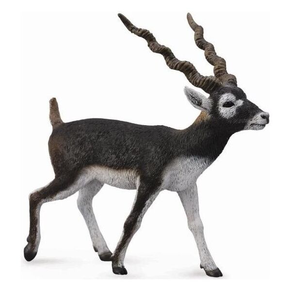 Figurka Collecta Antylopa Blackbuck (004-88638)