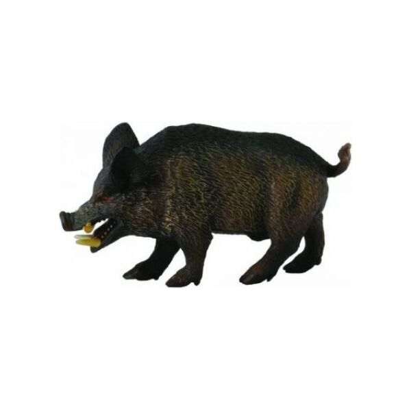 Figurka Collecta Dzik Odyniec (004-88363)