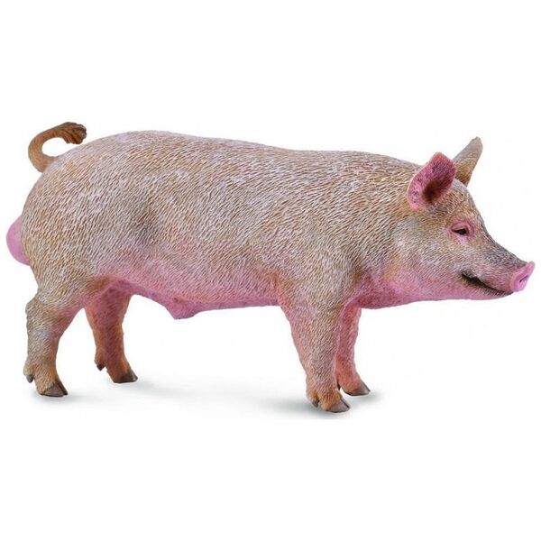 Figurka Collecta BOAR