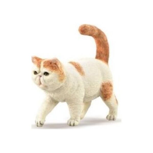 Figurka Collecta COLLECTA EGZOTYCZNY KOT KRÓTKOWŁOSY