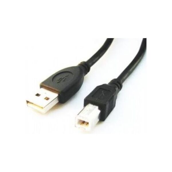 Kabel USB Gembird USB-A - USB-B 3 m Czarny (CCPUSB2AMBM10)