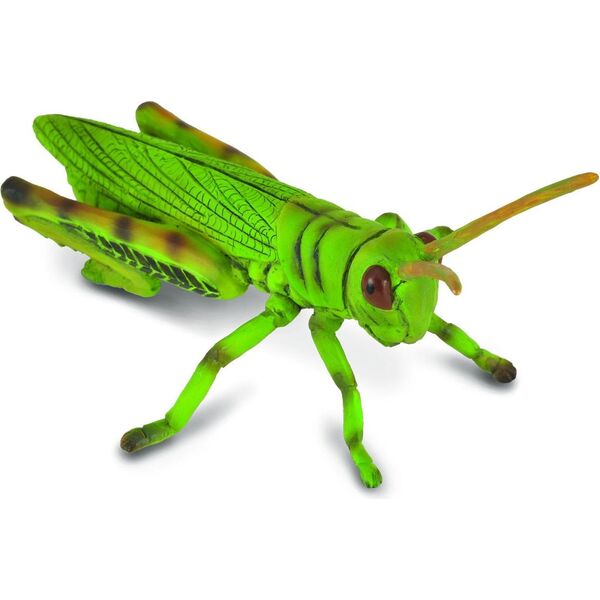 Figurka Collecta Konik polny (004-88352)