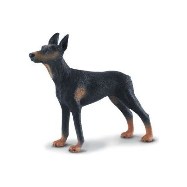 Figurka Collecta Pies Doberman (004-88086)