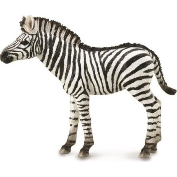 Figurka Collecta ZEBRA FOAL