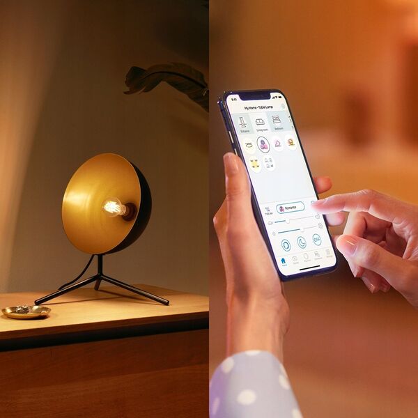 Philips Philips Żarówka z widocznym żarnikiem 60 W E27