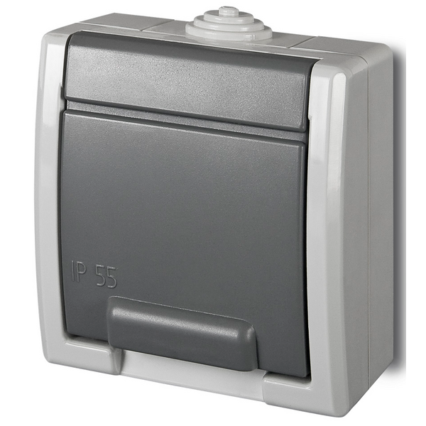 Elektro-Plast Gniazdo pojedyncze GNT-2P+Z z uziemieniem Aquant szare (1241-10) 3221635 5901130487851