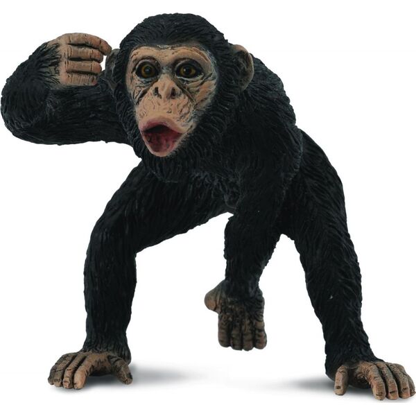 Figurka Collecta Szympans samiec 88492 COLLECTA - 004-88492