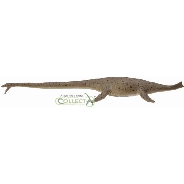 Figurka Collecta Dinozaur Thalassomedon 1:40 (004-88760)