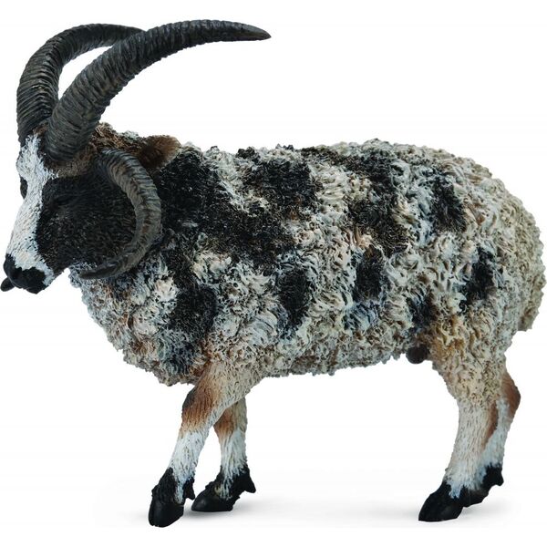 Figurka Collecta Owca wielkoroga (004-88728)