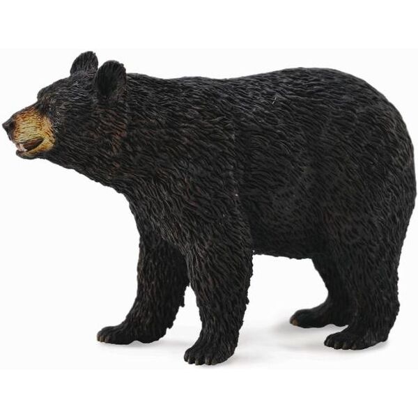 Figurka Collecta Niedźwiedź Baribal (004-88698)