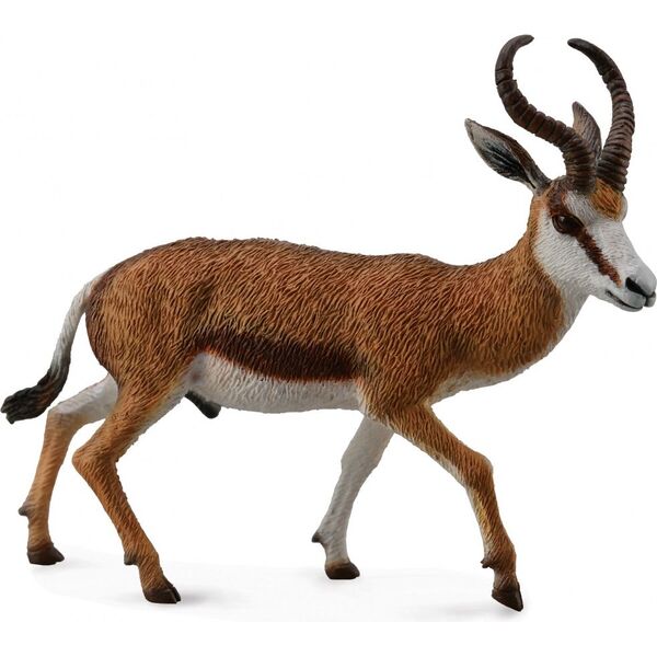 Figurka Collecta Kozica Springbok (004-88684)