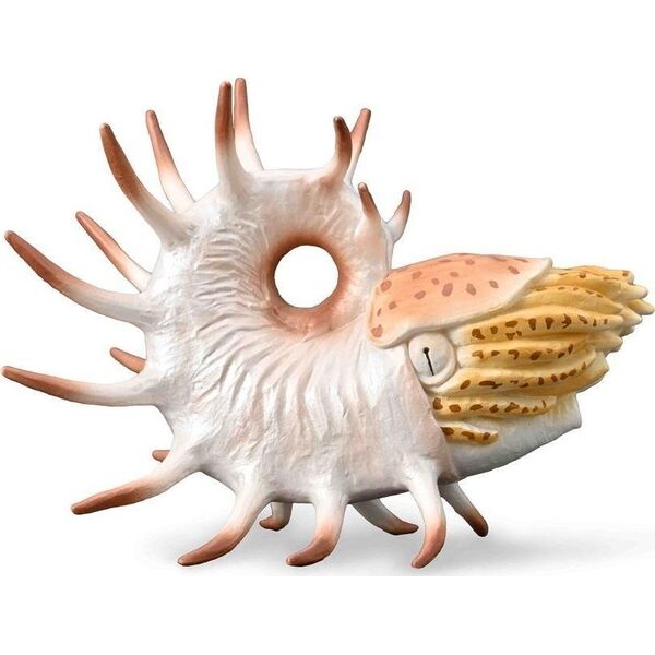 Figurka Collecta Cooperoceras