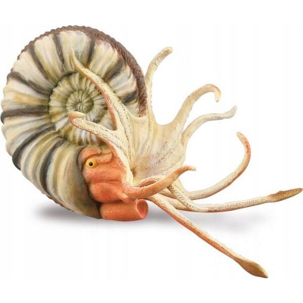 Figurka Collecta FIGURKA PLEUROCERAS AMONIT - CollectA - 88902 - XL