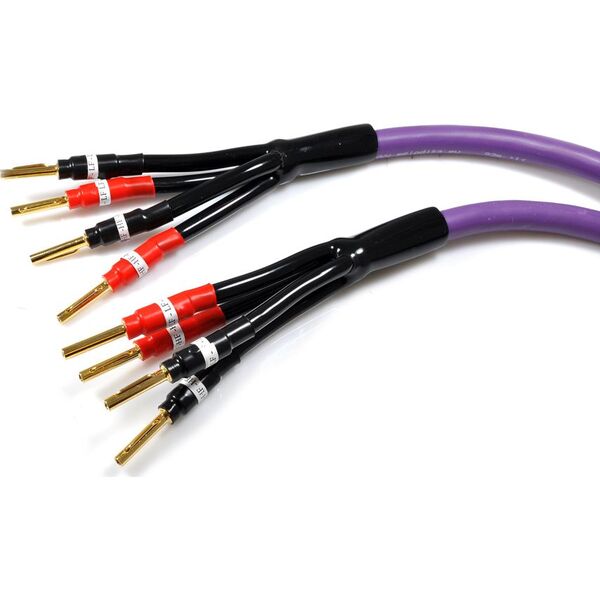 Kabel Melodika Banan x4 - Banan x4 6m fioletowy 6030760 5907609000415