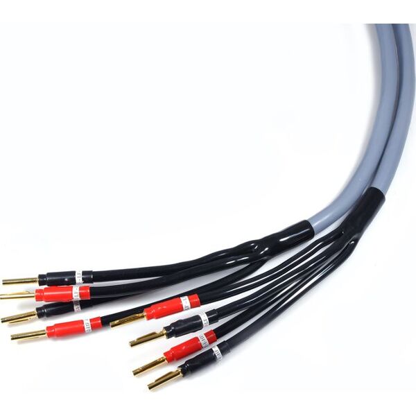 Kabel Melodika Banan x4 - Banan x4 4m szary 6030765 5907609000477