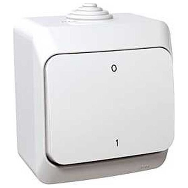 Schneider Electric Cedar Plus Łącznik dwubiegunowy natynkowy 16AX IP44 biały WDE000520 8453837 3303432400149