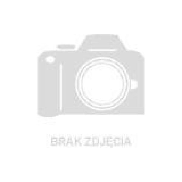 Steiner nano SINKIMPREGNATION impregnat do zlewozmywaków i blatów granitowych i kompozytowych 9459114 5903242539633