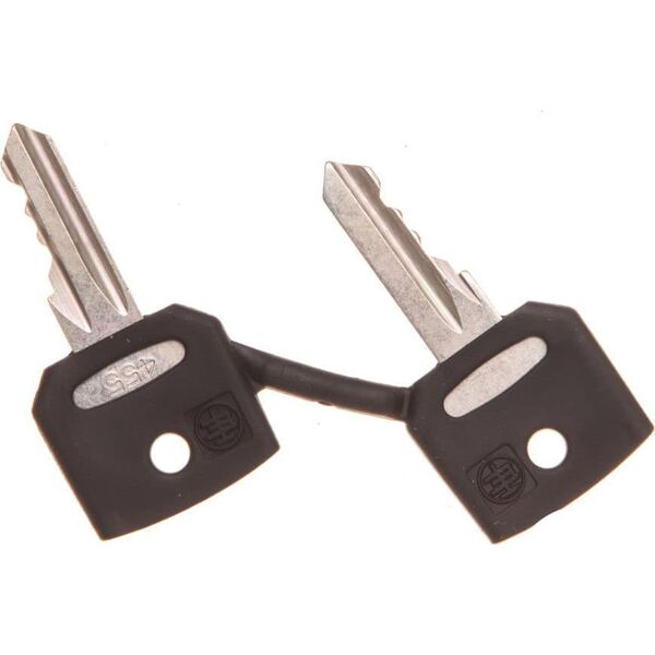 Schneider Electric Klucz zapasowy 2szt. NR455 ZBG455 10398145 3389110091847