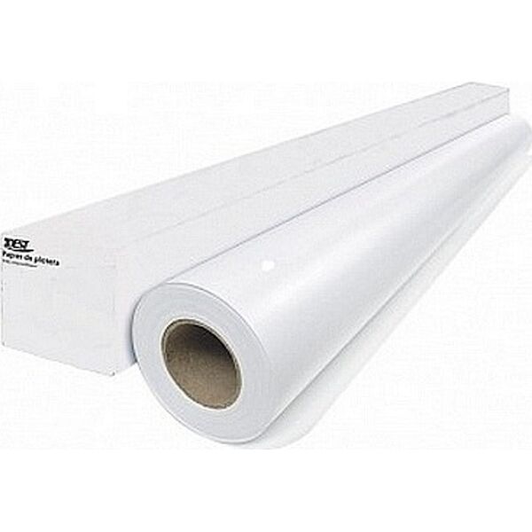 Igepa PAPIER W ROLI 594 MM/50 M 90 G 14044733 4405048090598
