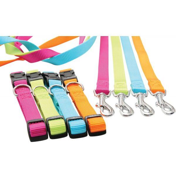 Zolux Obroża nylon regulowana 15 mm pomarańczowa 1103677 3336024620427
