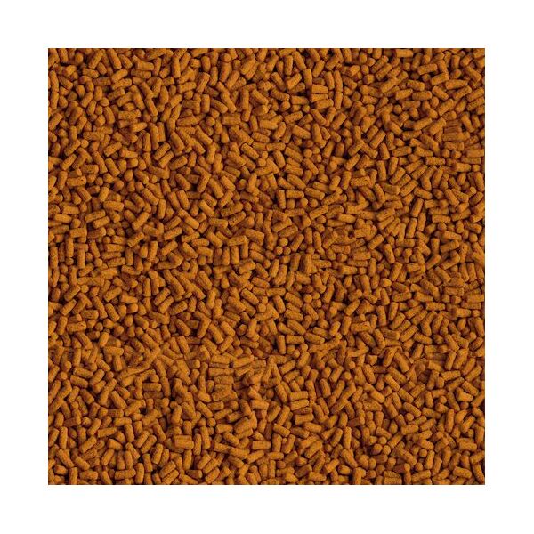 Tetra Pond KOI Colour & Growth Sticks 1 L 1105504 4004218172333