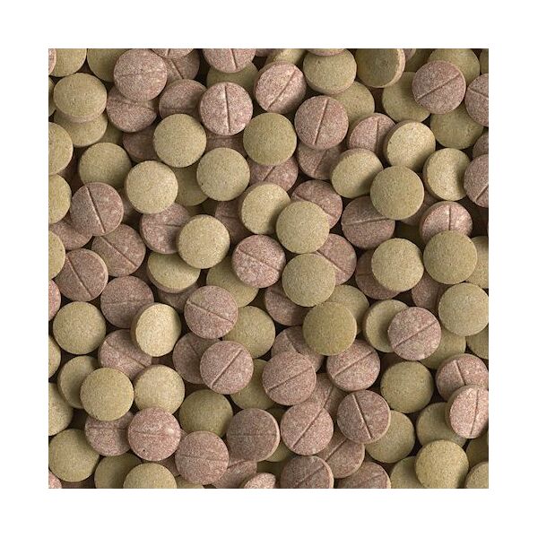 Tetra Tablets TabiMin XL 133 Tab. 1105563 4004218210011