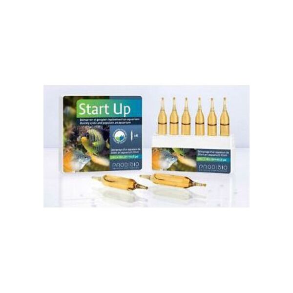 Prodibio Start Up 6 ampułek 1106979 3594200002119