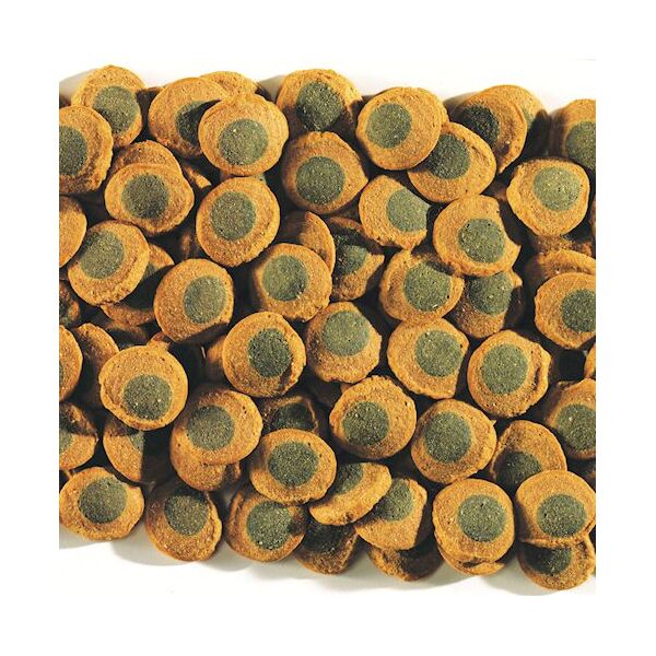 Tetra Pleco Algae Wafers 3,6 l 1108116 4004218193840