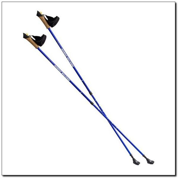 Nils Extreme Kije Nordic Walking NW607 Blue 1123077 5907695502855