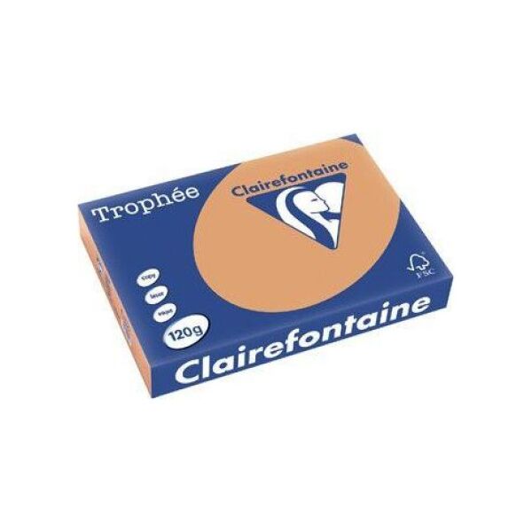 Trophee Papier ksero A4 80g 500 arkuszy 1474517 3329680187908