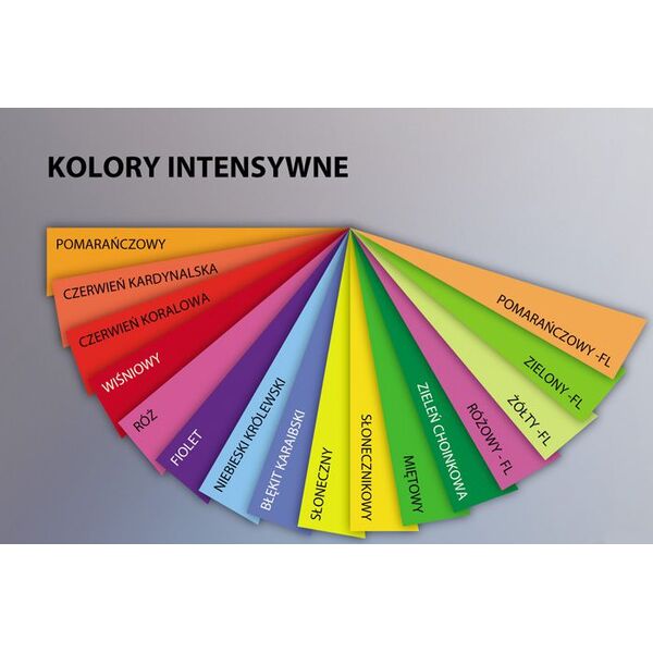 Trophee Papier ksero A4 80g 500 arkuszy 1474518 3329680178302