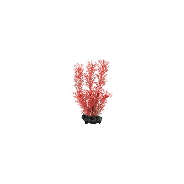 Tetra DecoArt Plant L Foxtail Red 1486332 4004218270657