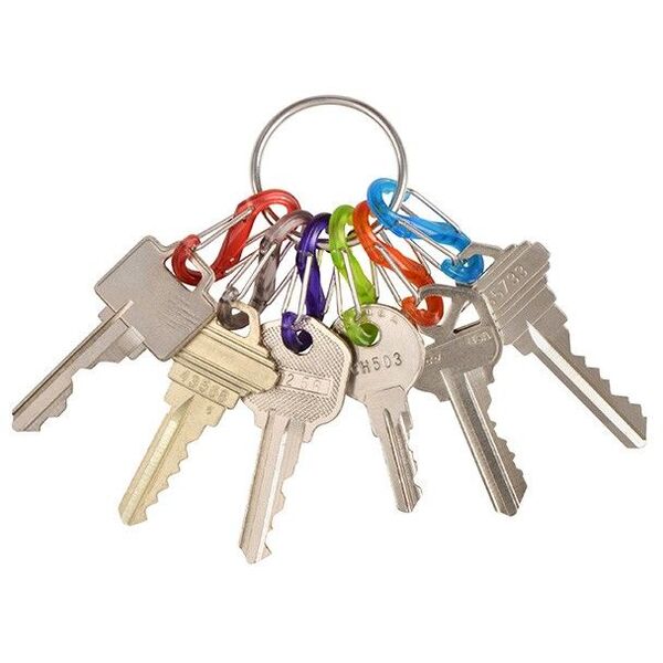 Breloczek Nite Ize Keyring+ 6 x micro karabińczyk, plastik, kolorowy (KRG2-11-R3) 1682663 94664042179