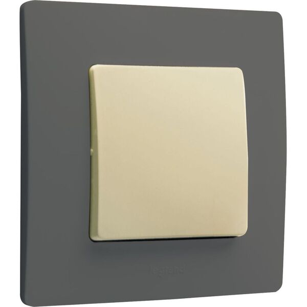 Legrand Ramka instalacyjna pojedyncza NILOE 665031 3109549 3245066650319