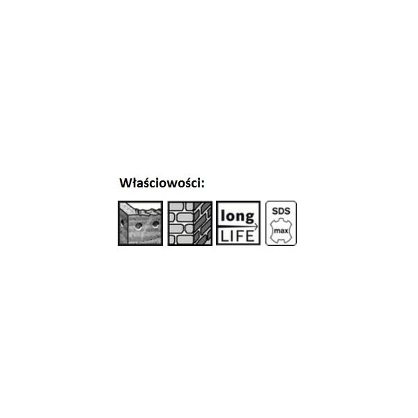 Wiertło Bosch do betonu SDS MAX 45mm  (1618596456) 3190186 3165140021968