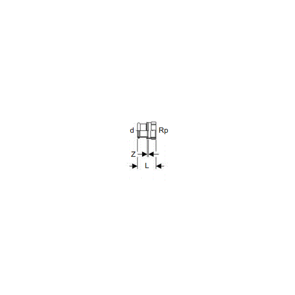 Geberit Złączka C-STAHL GW 28mm Rp 3/4" (21808) 3190343 4024723218081