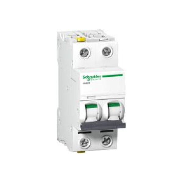 Schneider Electric Wyłącznik nadprądowy iC60N 2P 4A charakterystyka C (A9F04204) 3311965 3606480440472