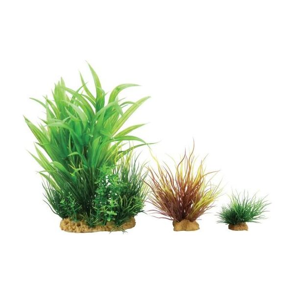 Zolux Dekoracja roślinna PlantKit Wiha model 2 (352141) 4961155 3336023521411