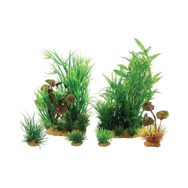 Zolux Dekoracja roślinna PlantKit Jalaya model 2 (352146) 4961159 3336023521466