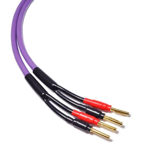 Kabel Melodika Banan x2 - Banan x2 3.5m fioletowy 6030637 5907609002754