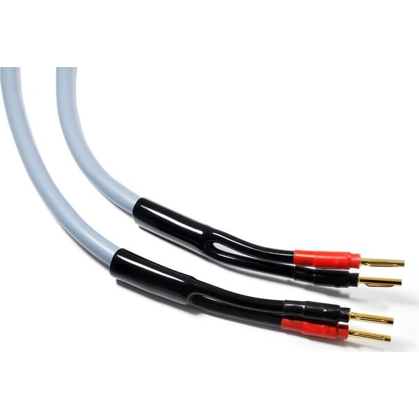 Kabel Melodika Banan x2 - Banan x2 1.5m szary 6030681 5907609003331