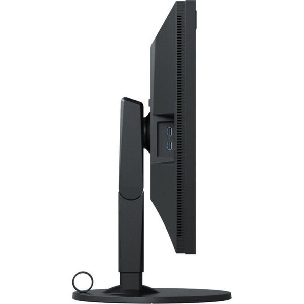 Monitor Eizo ColorEdge CG319X-BK 6040384 4995047053088