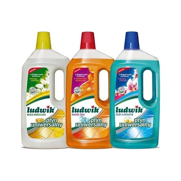 Ludwik Płyn uniwersalny Ludwik 6704506 5900498000245