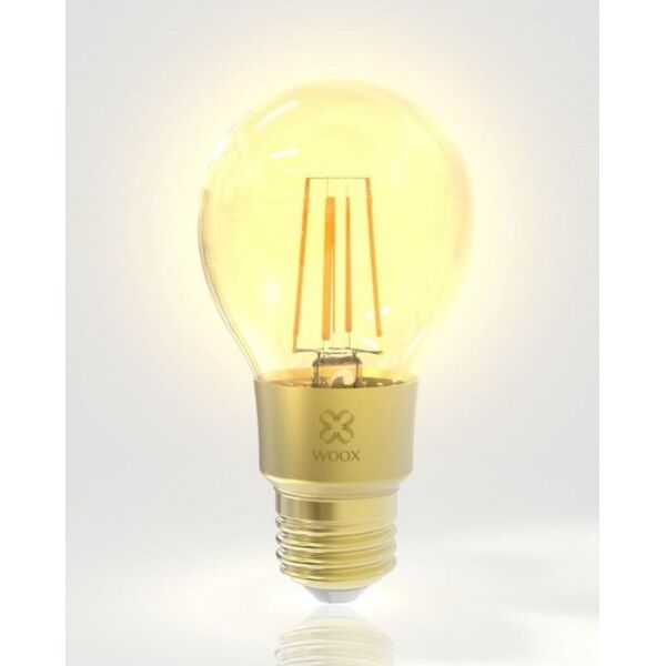 Woox SMART ŻARÓWKA RETRO LED 6W E27 FILAMENTOWA 7187546 8435606703598