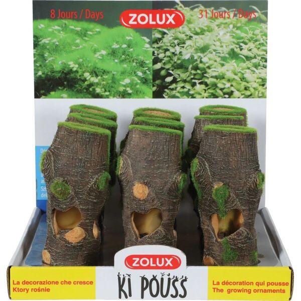 Zolux Dekoracja akwarystyczna Kipouss pień M- z nasionami żywych roślin 7544655 3336023521756