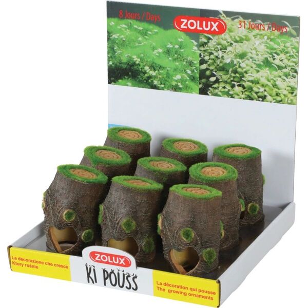 Zolux Dekoracja akwarystyczna Kipouss pień S- z nasionami żywych roślin 7544656 3336023521749