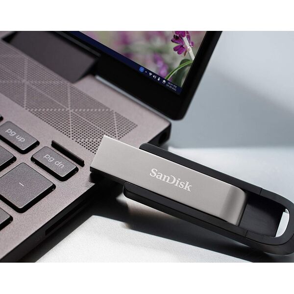 Pendrive SanDisk Extreme Go, 256 GB  (SDCZ810-256G-G46) 8250167 619659182748